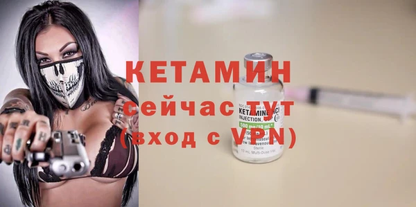 сатива Абаза
